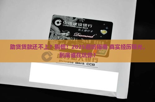 助贷贷款还不上