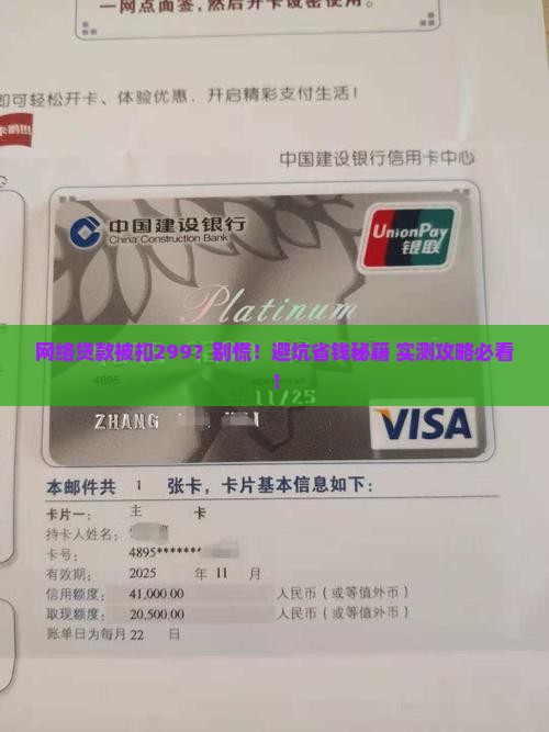 网络贷款被扣了299