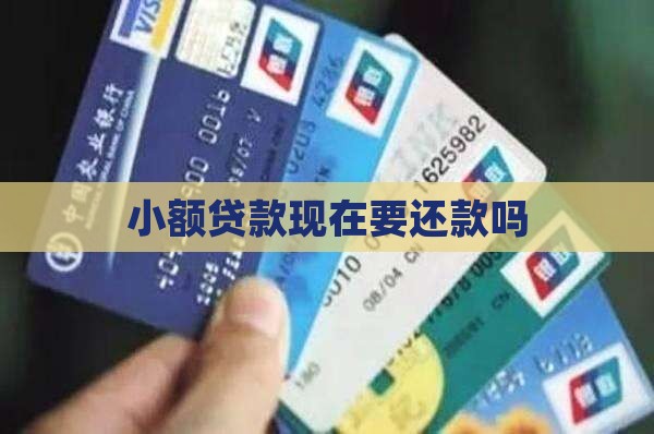 小额贷款现在要还款吗