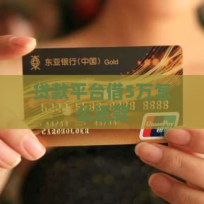 贷款平台借5万怎么还款