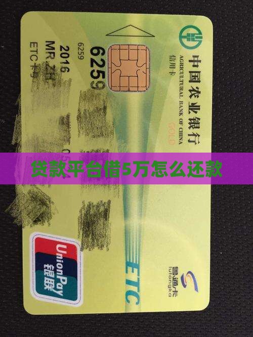 贷款平台借5万怎么还款
