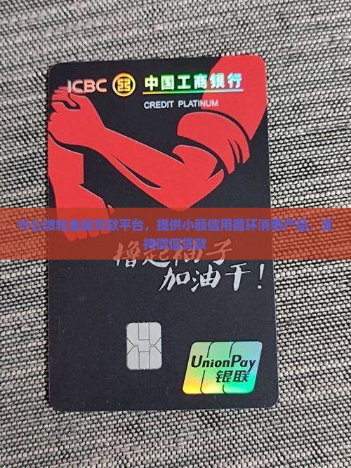 什么是微粒金融贷款平台