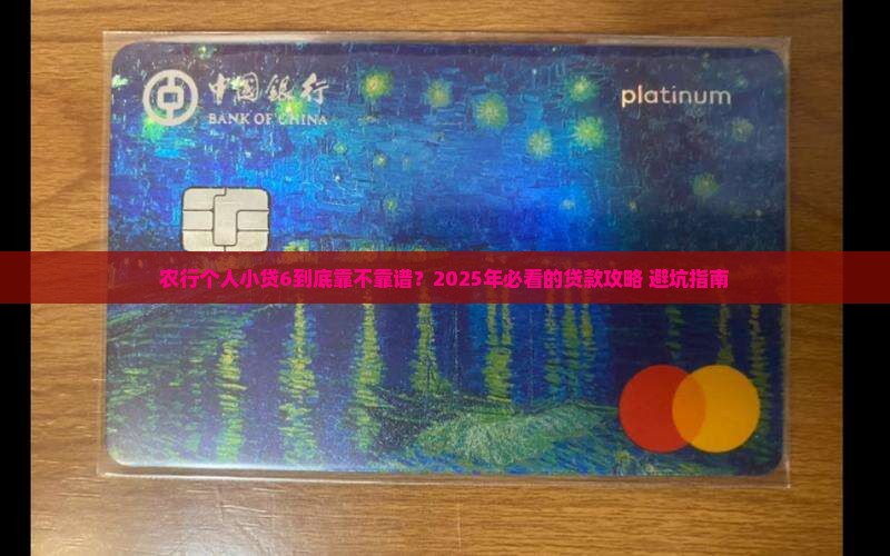 农业银行个人小额贷款6