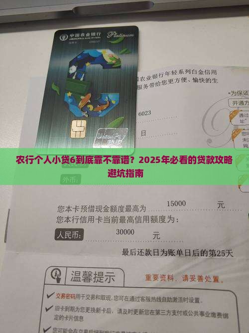 农业银行个人小额贷款6