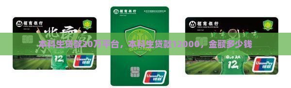 本科生贷款20万平台