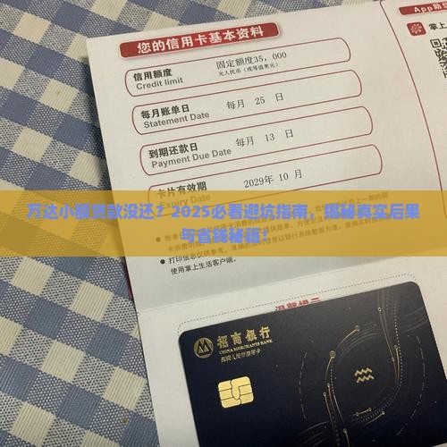 万达小额贷款没还