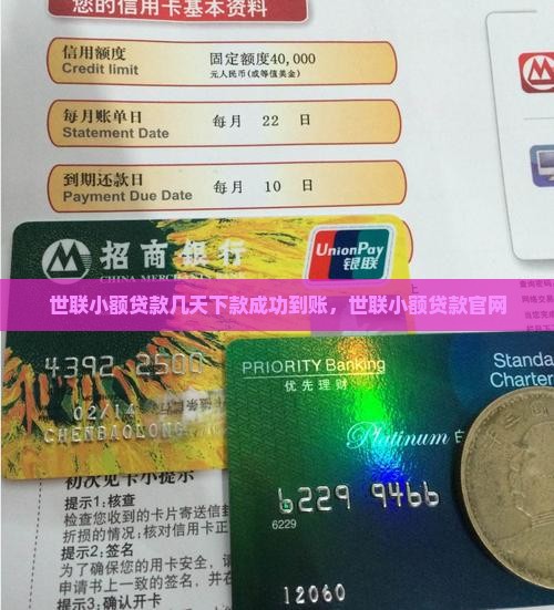 世联小额贷款几天下款