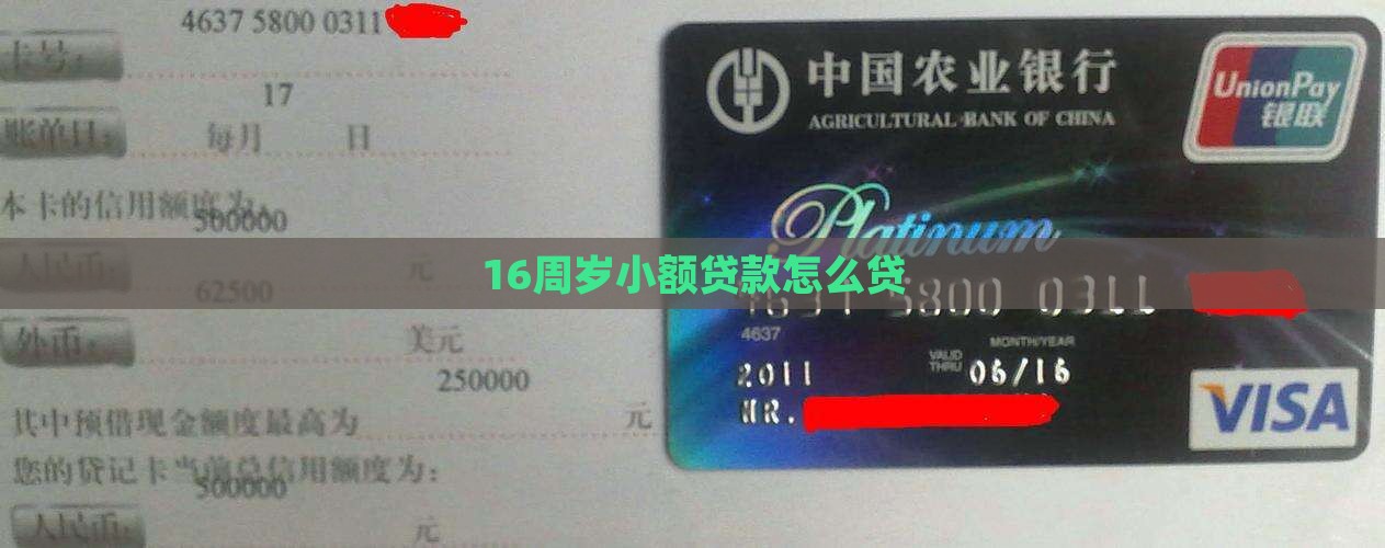 16周岁怎么贷小贷款