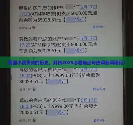 我国小额贷款的历史