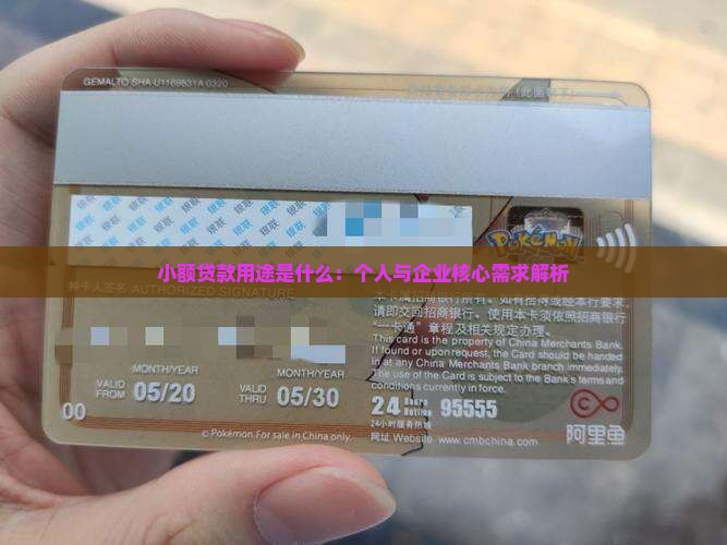 小额贷款用途是什么