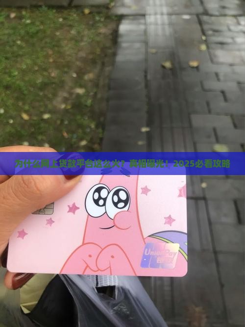 为什么网上贷款平台热门