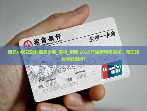佰元小额贷款利息多少钱