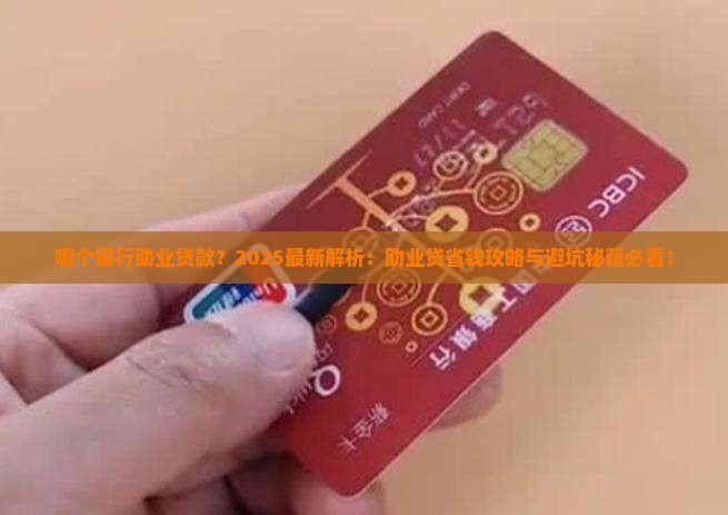 哪个银行助业贷款
