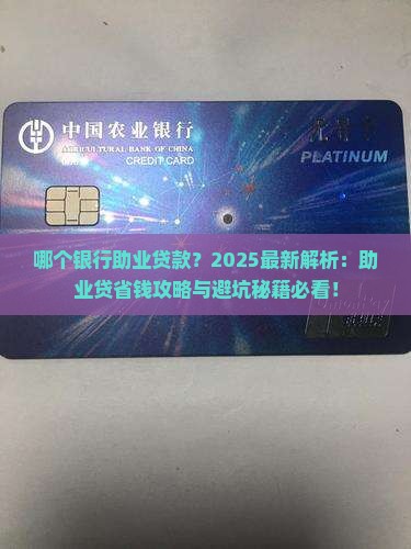 哪个银行助业贷款