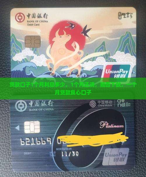 贷款口子1个月