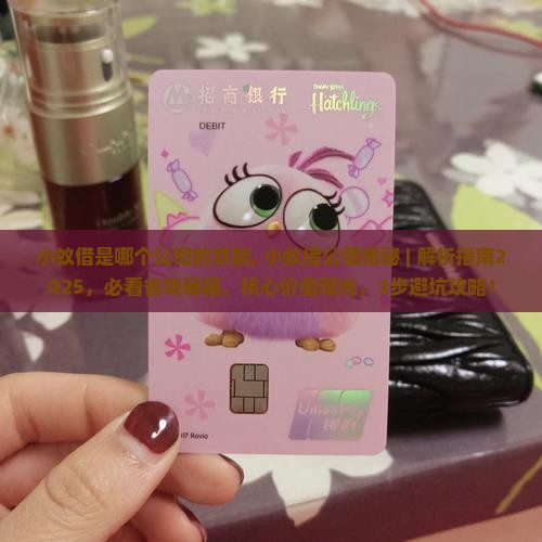 小蚁借是哪个公司的贷款