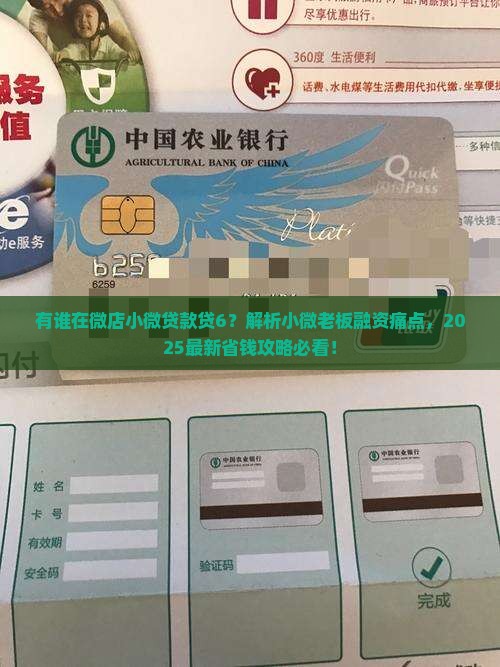 有谁在微店小微贷款贷6