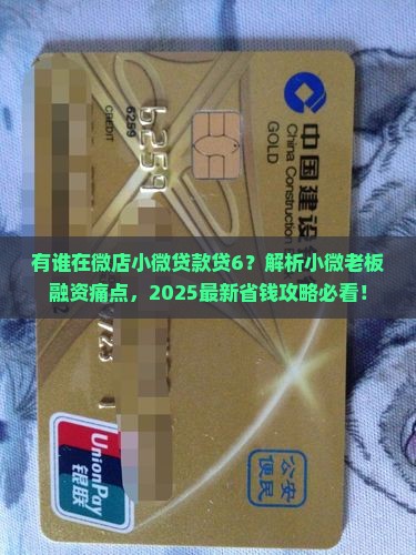 有谁在微店小微贷款贷6