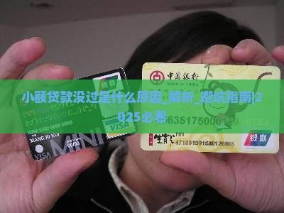 小额贷款没过是什么原因