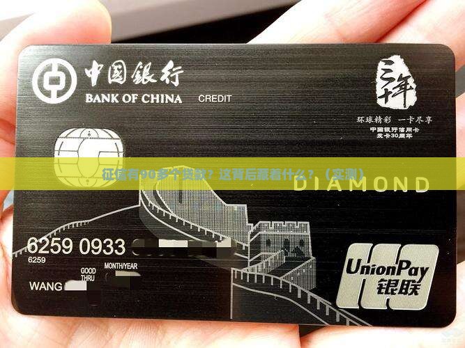 征信有90多个贷款