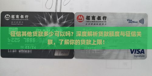 征信其他贷款多少可以吗