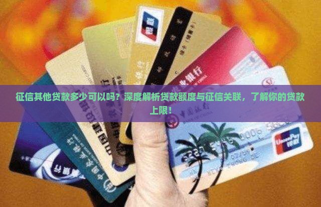 征信其他贷款多少可以吗