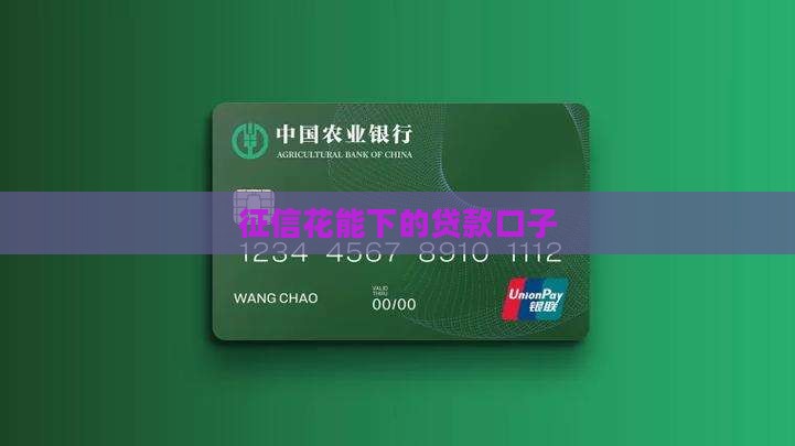 征信花能下的贷款口子