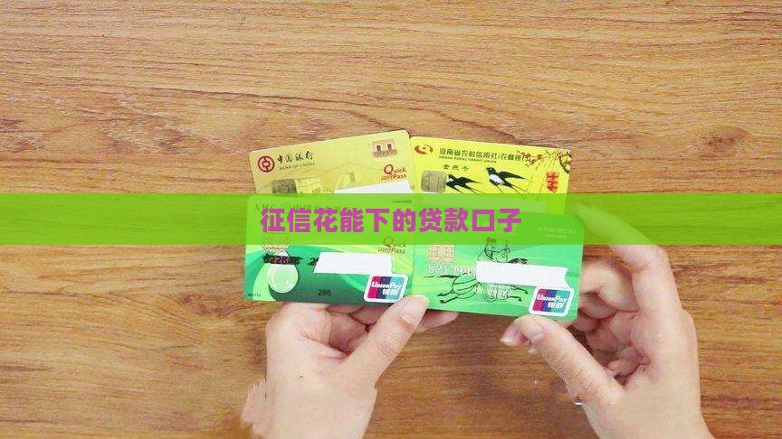征信花能下的贷款口子