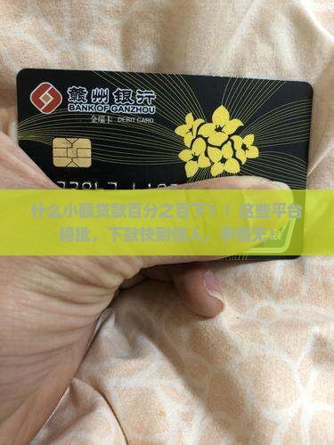 什么小额贷款百分之百下