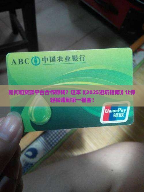 如何和贷款平台合作赚钱
