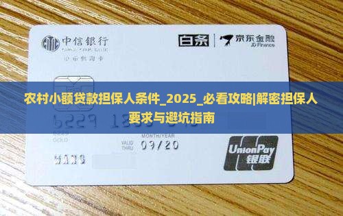 农村小额贷款担保人条件