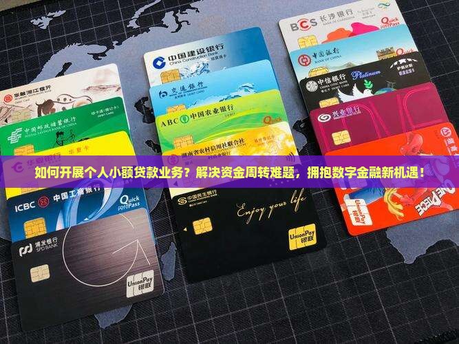 个人开展小额贷款业务