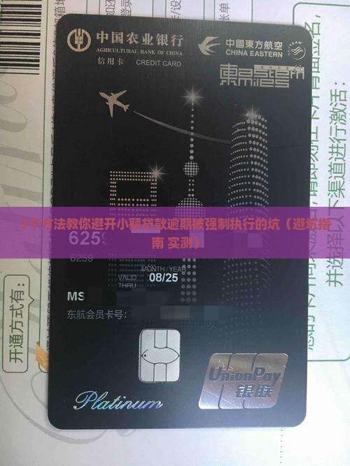 小额贷款逾期无力偿还被强制执行