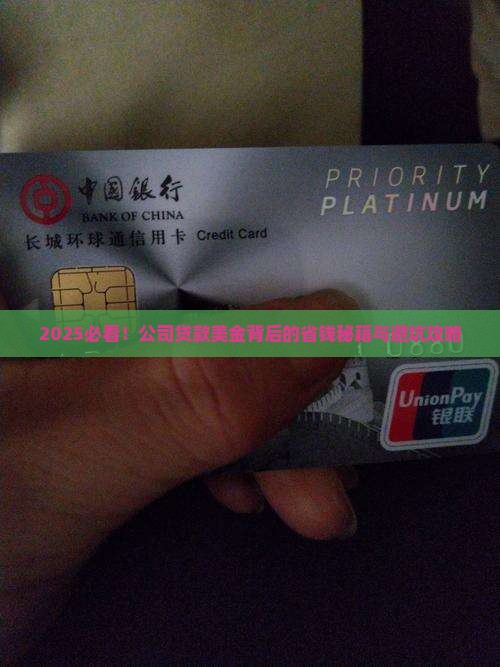 公司为何要贷款美金