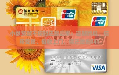 小额贷款不按时还款后果