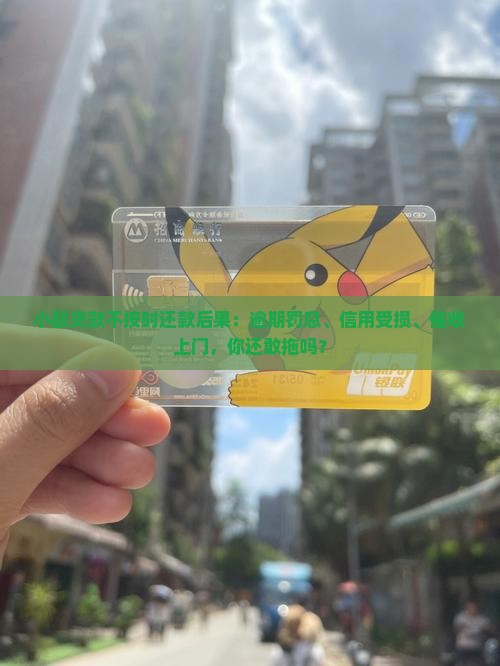 小额贷款不按时还款后果