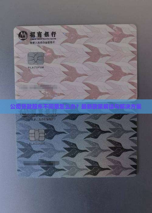 公司贷款股东不同意