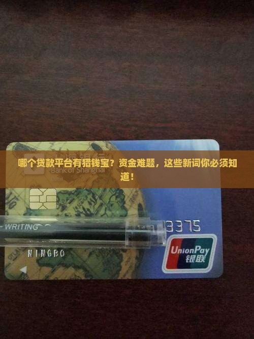 哪个贷款平台有猎钱宝