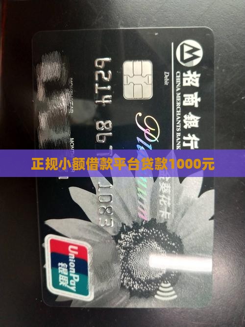 正规1000元小额贷款