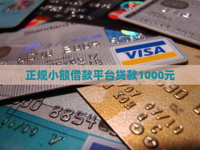 正规1000元小额贷款