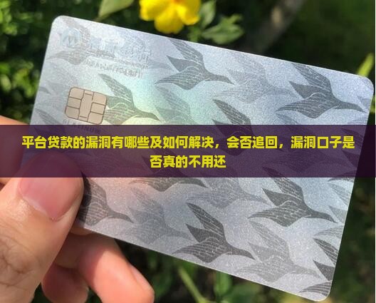 平台贷款的漏洞