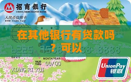 在其他银行有贷款吗