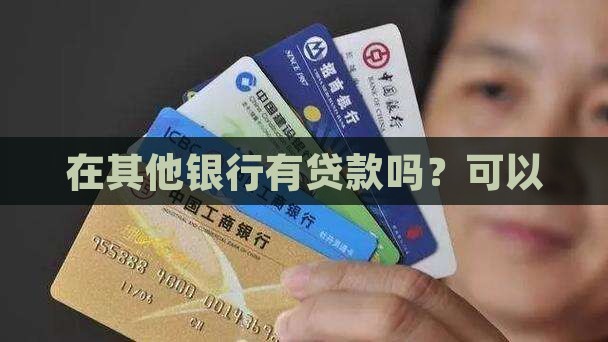 在其他银行有贷款吗