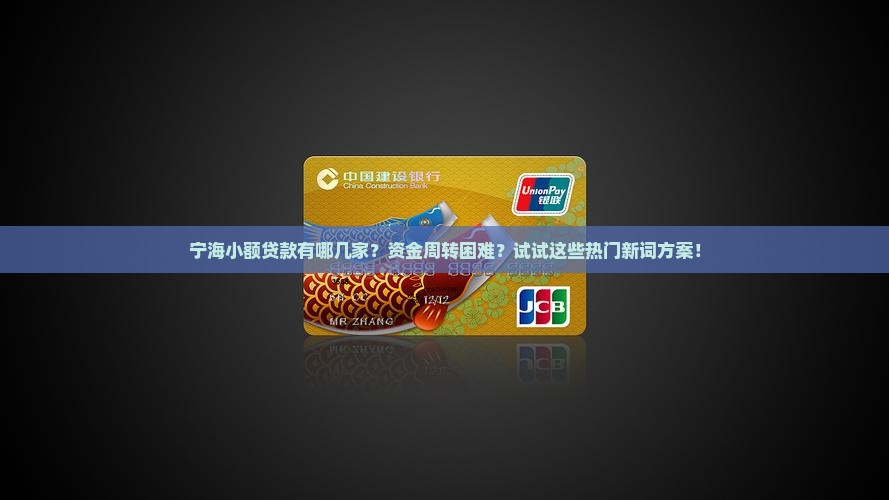 宁海小额贷款有哪几家