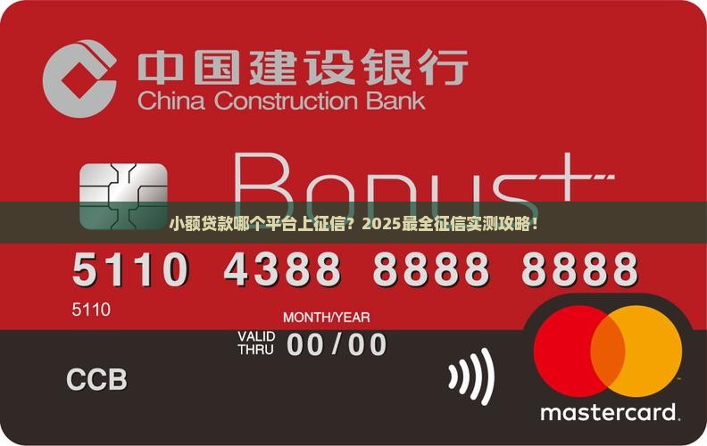小额贷款哪个平台上征信