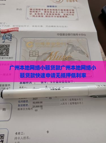广州本地网络小额贷款