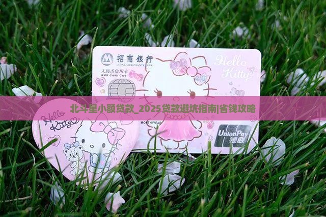 北斗星小额贷款