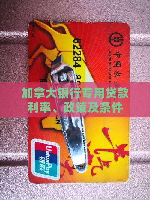 加拿大银行专用贷款