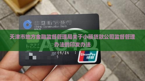 天津市关于小额贷款