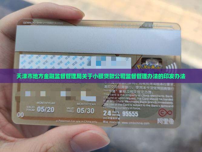 天津市关于小额贷款